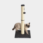 Cat Scratching Post
